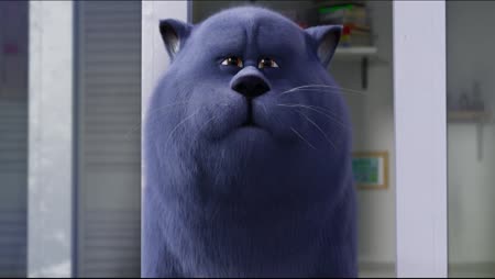 Oscar Et Le Monde Des Chats