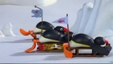 Pingu en streaming 