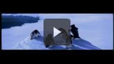 Happy Feet en streaming 