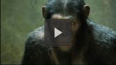 La planète des singes : L'affrontement streaming 