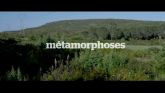Métamorphoses streaming 