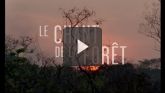 Le Chant De La Forêt streaming 