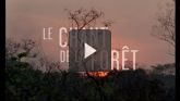 Le Chant De La Forêt en streaming 